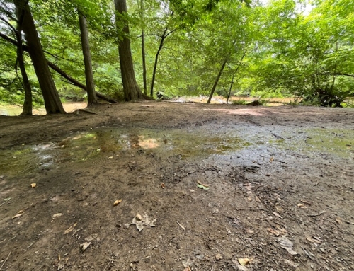 The Muddy Mess Of Me