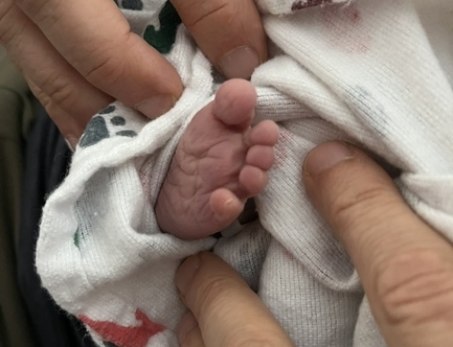 Nothing Like A Newborn