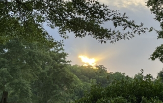 light