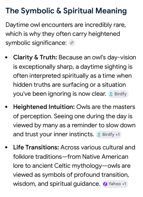 owl