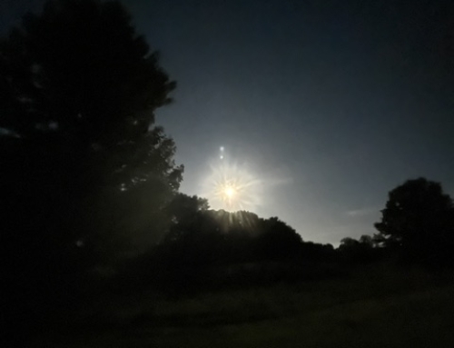 Once In A Blue Moon