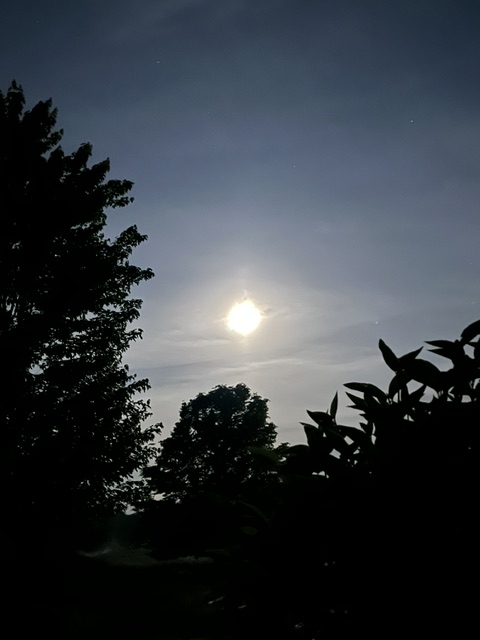 moon