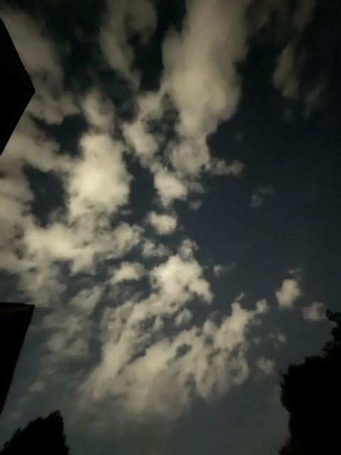 sky sky