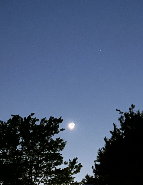 moon moon