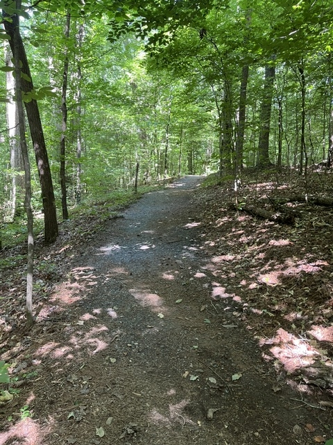 path