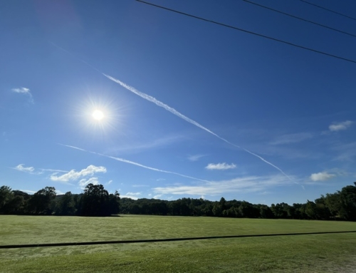 Place Of Wide Open Space