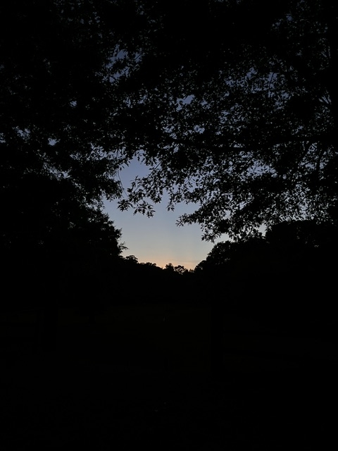 sky sky