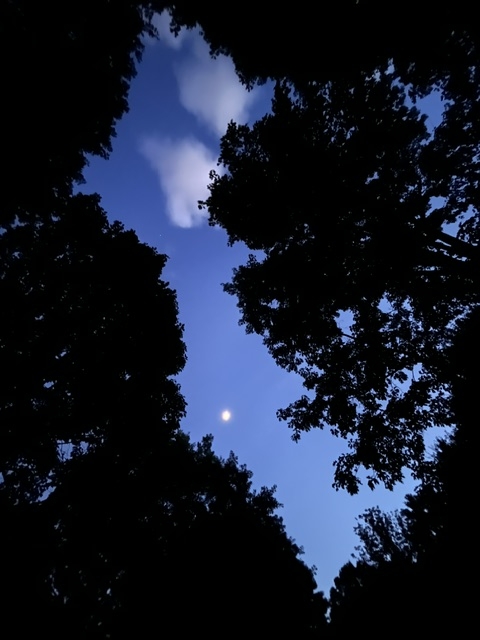 sky sky