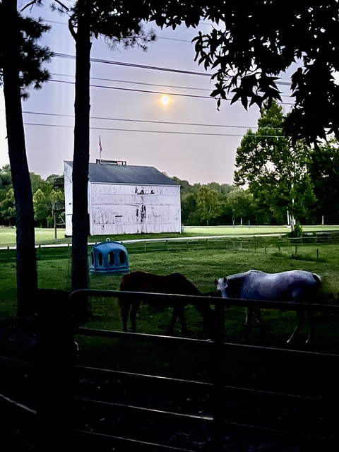 moon
