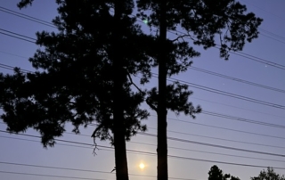 moon