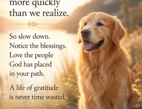 Slow. Notice. Love People.