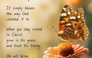 butterfly