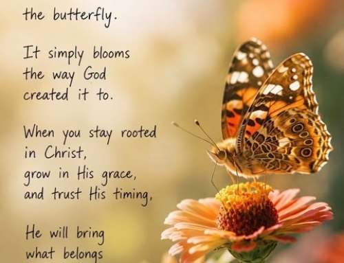 Stay Rooted. Grow Trust.