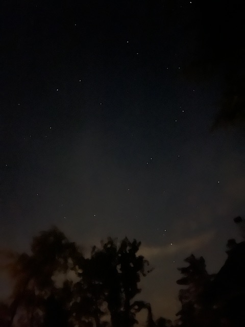 dark dark