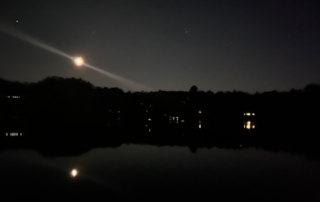 dark