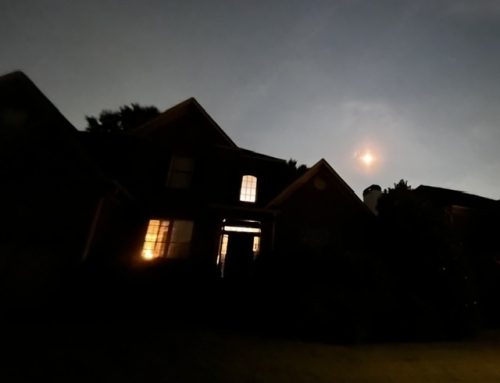 Questions Before Dark