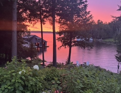 Shed Control. Watch In Awe.