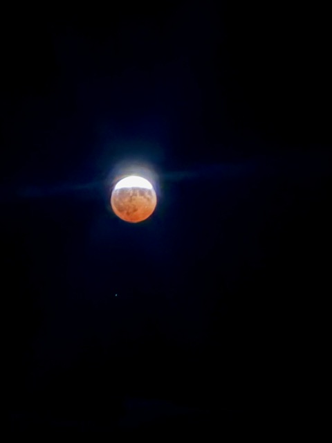 moon moon