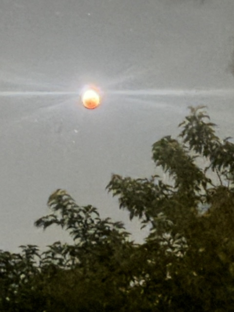 moon moon