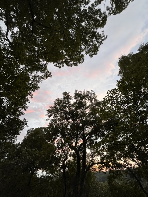 sky sky