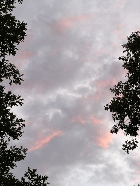 sky sky