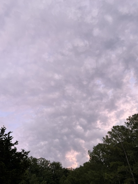 sky sky