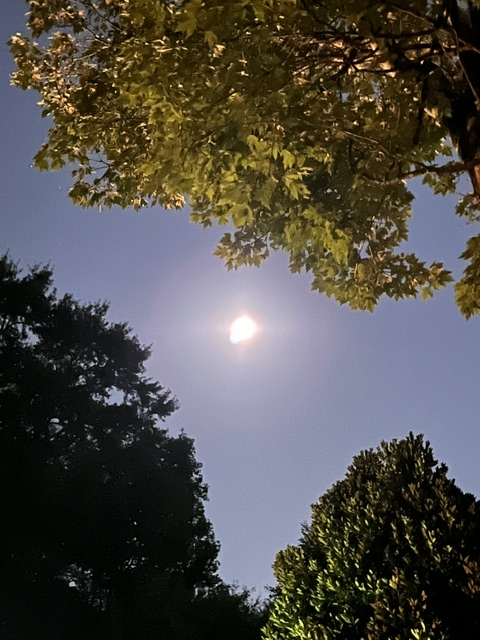 moon