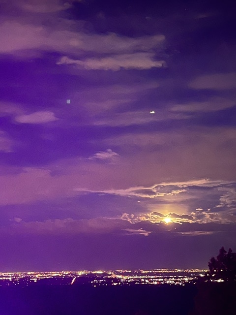 moon moon