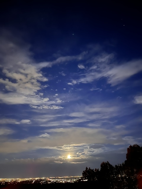 moon moon