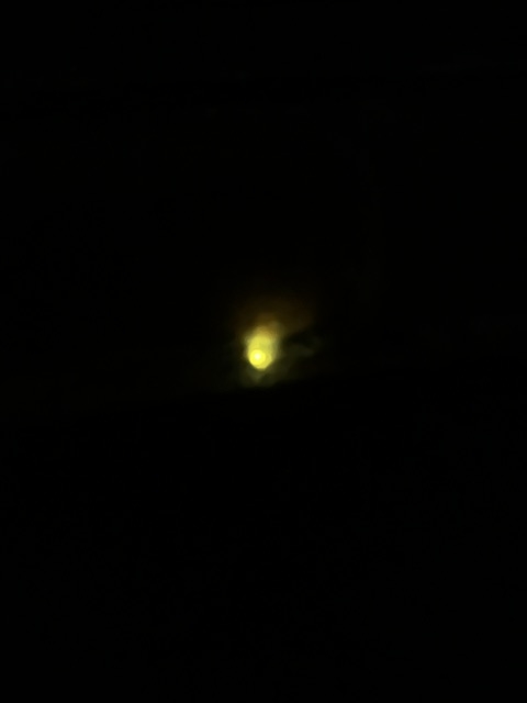 light light