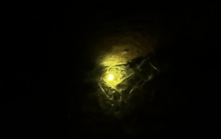 light