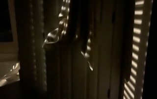 light