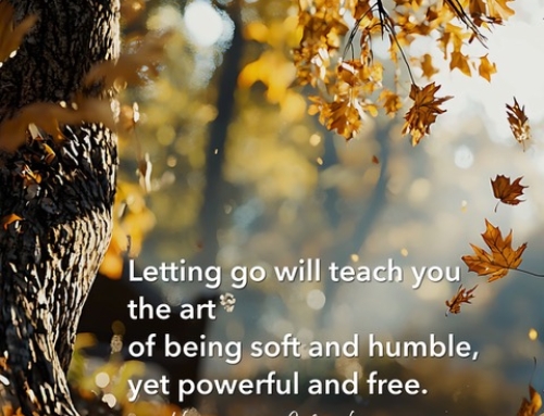 Soft. Humble. Powerful. Free.