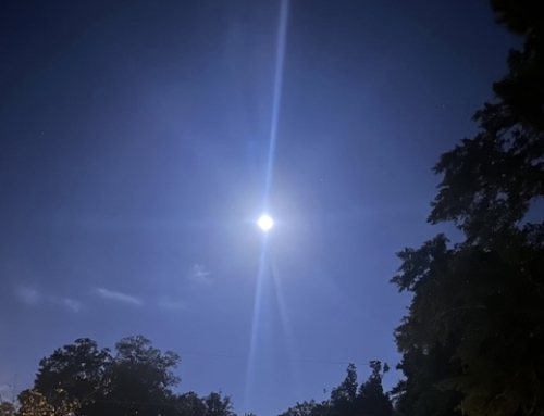 Wholeness Unfolds Quietly