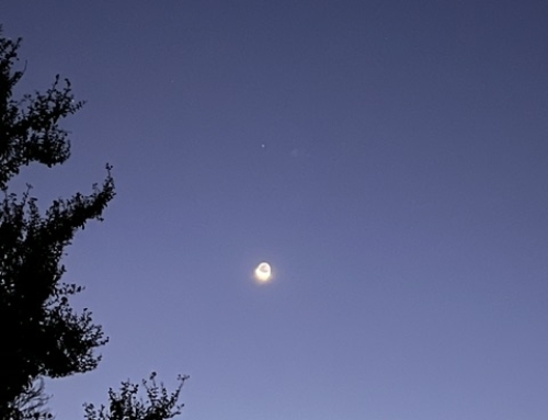 What’s This Moving In The Dark?