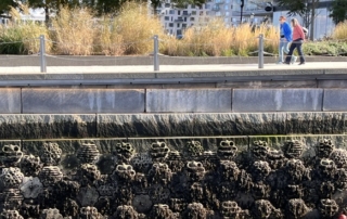 bridge