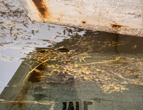 Embody This Reflection